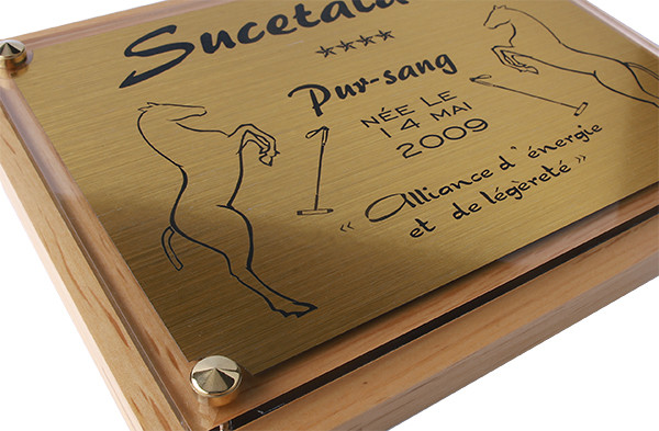 Plaque de box plexi